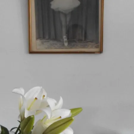 Arte
