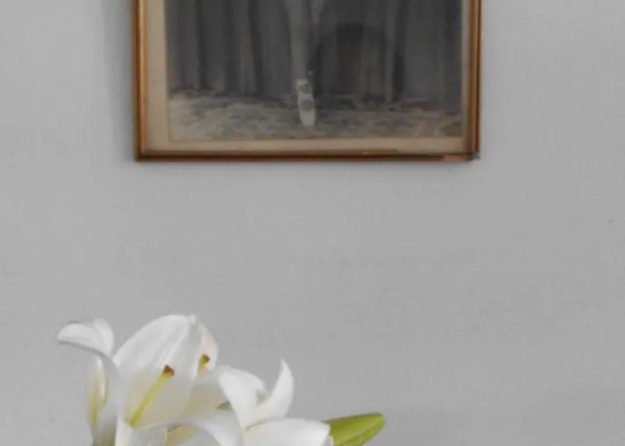 Arte